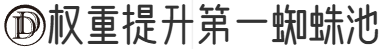 权重提升第一蜘蛛池